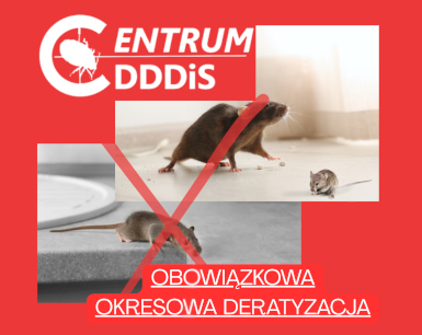 Obowiązkowa deratyzacja - DDDiS